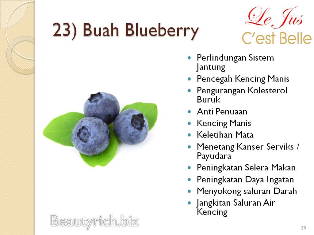 Buah Blueberry